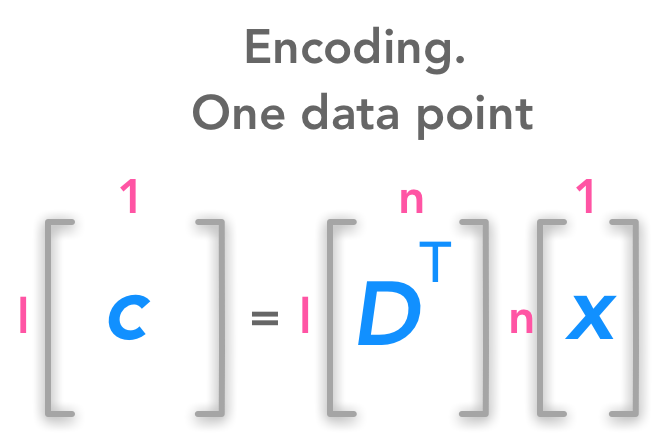 Expression of the encoding function